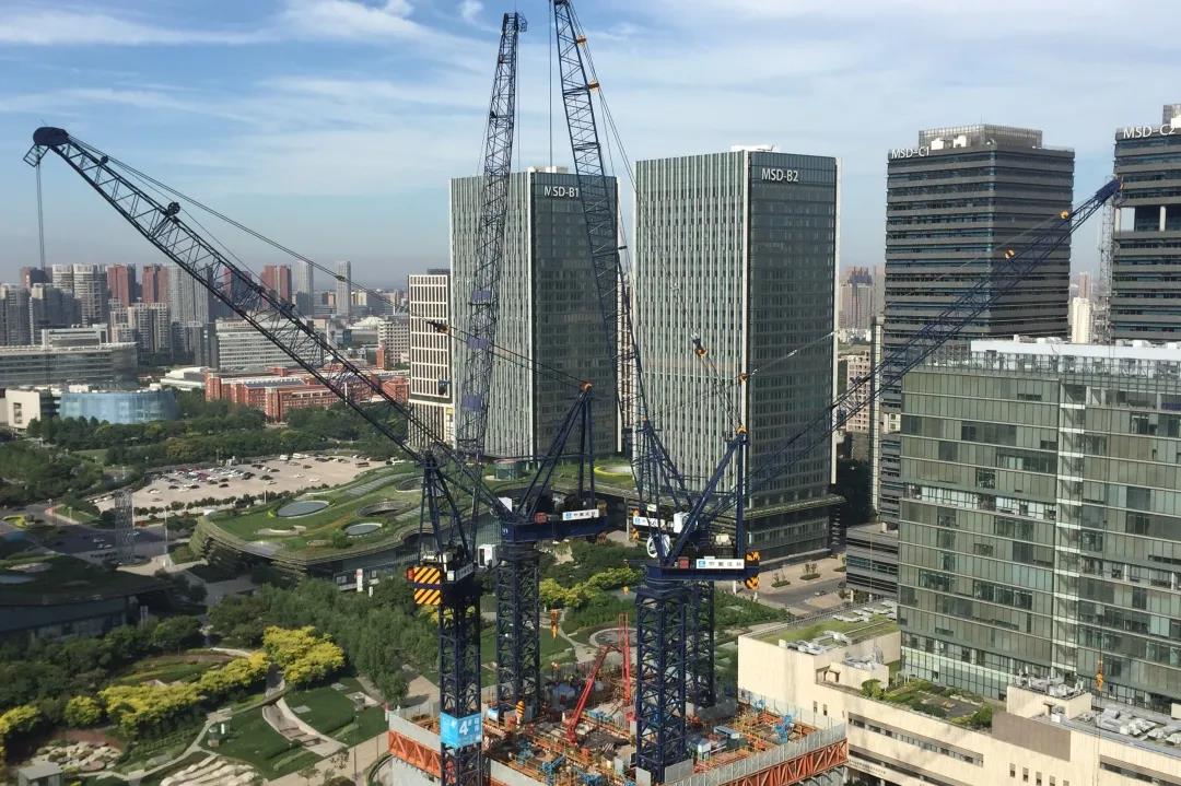 1598057619131886Qxf1.jpg 6.jpg